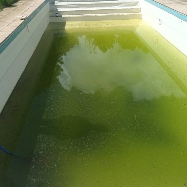 Faites confiance à un spécialiste local pour la rénovation de votre piscine et le remplacement de votre liner à Bordeaux et sur toute la Gironde.