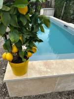 Nos prestations sur le secteur de Lège Cap ferret